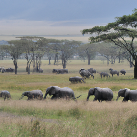 Tanzania