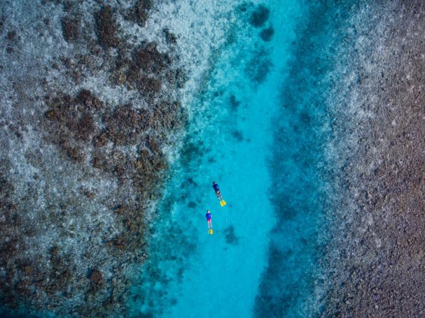 MALDIVE - Lily Beach