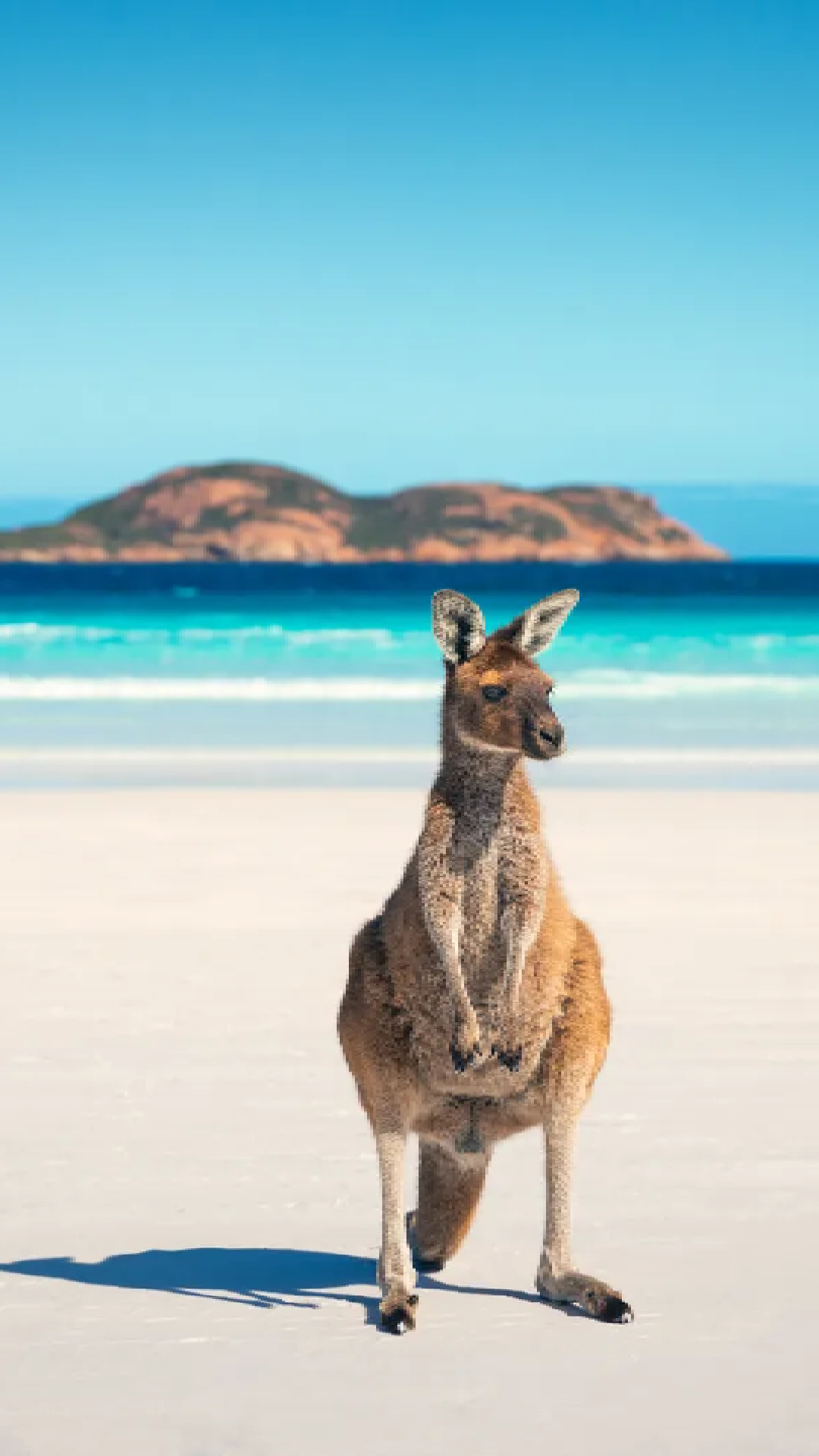 Oceania e Oceano Pacifico Oceania e Oceano Pacifico